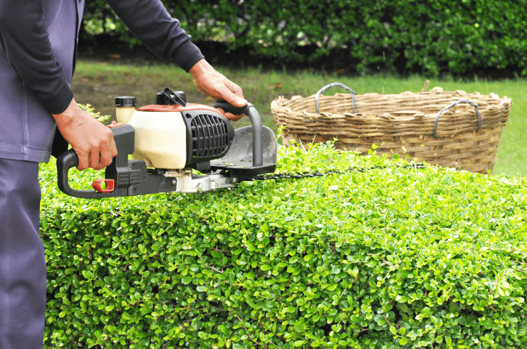 HW Lawn Care Services