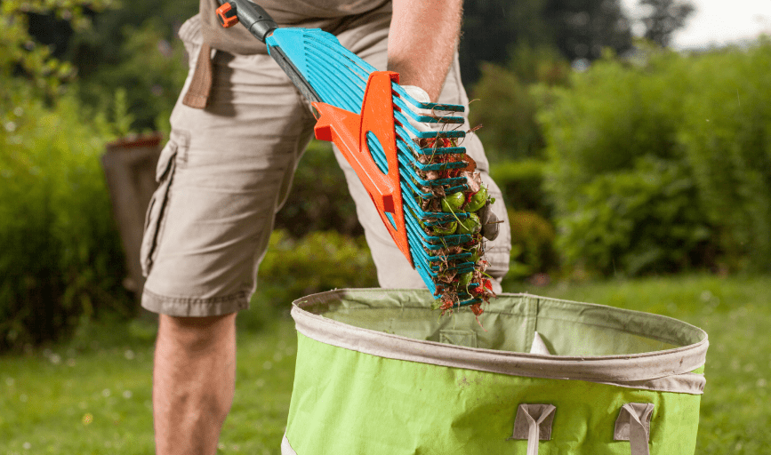 Yard Clean-Up